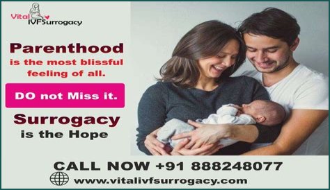 Discoveries And Insights For Blissful Parenthood