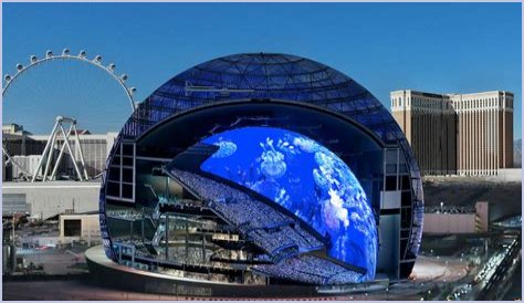 Unveiling Cecilia Vega's Wikipedia: Discoveries And Revelations